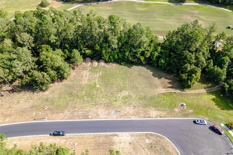 Land in Brooksville, Florida № 1243007 - photo 4