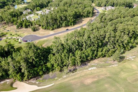 Land in Brooksville, Florida № 1243007 - photo 6