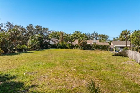 Terreno en venta en Clearwater, Florida № 1419496 - foto 3