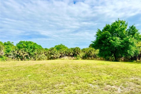 Купить земельный участок в Виро-Бич, Флорида № 1051105 - фото 16