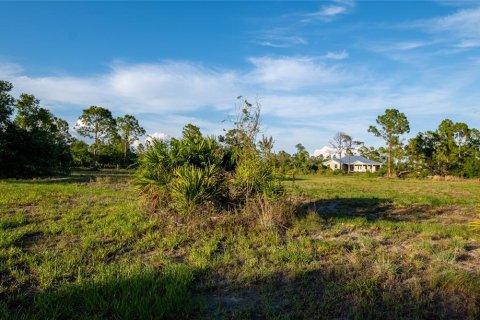 Terrain à vendre à Punta Gorda, Floride № 1245709 - photo 6