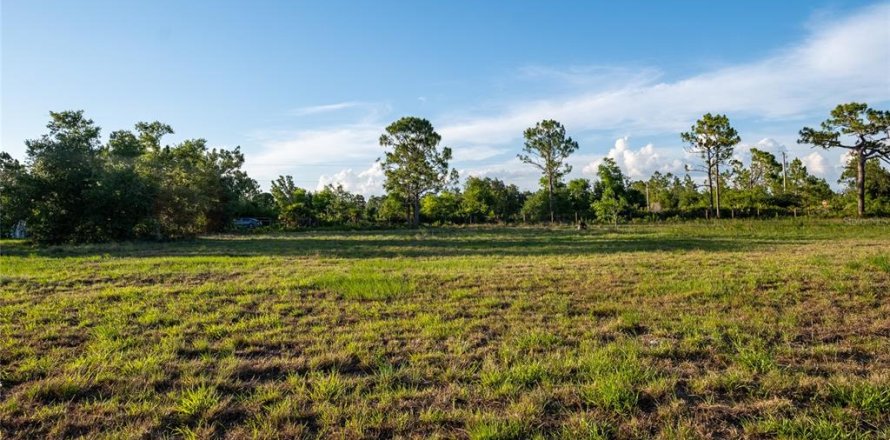 Terrain à Punta Gorda, Floride № 1245709