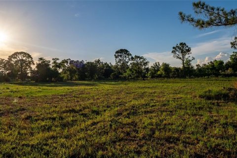 Terrain à vendre à Punta Gorda, Floride № 1245709 - photo 7