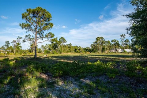 Terrain à vendre à Punta Gorda, Floride № 1245709 - photo 4