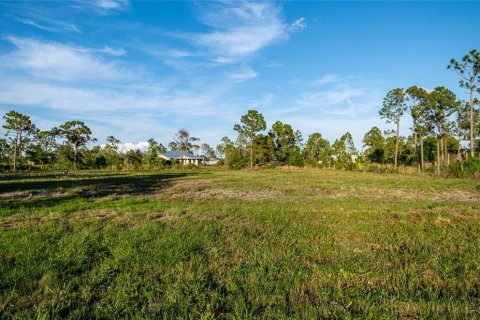 Terrain à vendre à Punta Gorda, Floride № 1245709 - photo 5