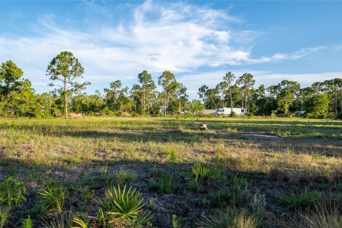 Terreno en venta en Punta Gorda, Florida № 1245709 - foto 10