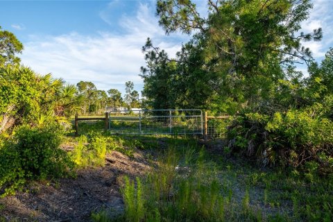 Terreno en venta en Punta Gorda, Florida № 1245709 - foto 3