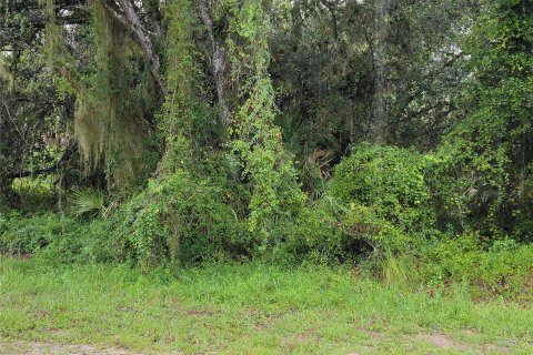 Terreno en venta en Clewiston, Florida № 1029690 - foto 3
