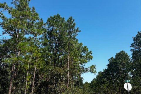 Terreno en venta en Dunnellon, Florida № 1402147 - foto 10