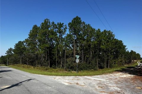 Terreno en venta en Dunnellon, Florida № 1402147 - foto 4