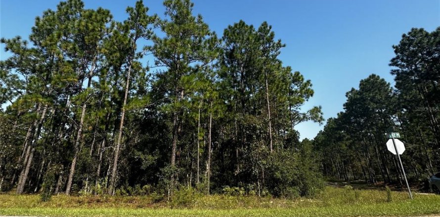 Terreno en Dunnellon, Florida № 1402147