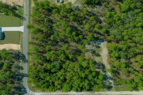 Terreno en venta en Dunnellon, Florida № 1402147 - foto 14