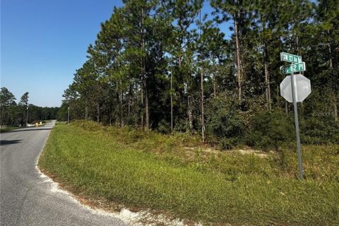 Terreno en venta en Dunnellon, Florida № 1402147 - foto 7