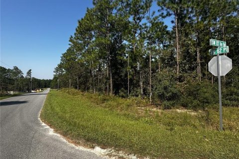 Terreno en venta en Dunnellon, Florida № 1402147 - foto 3