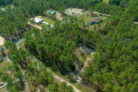 Terreno en venta en Dunnellon, Florida № 1402147 - foto 13