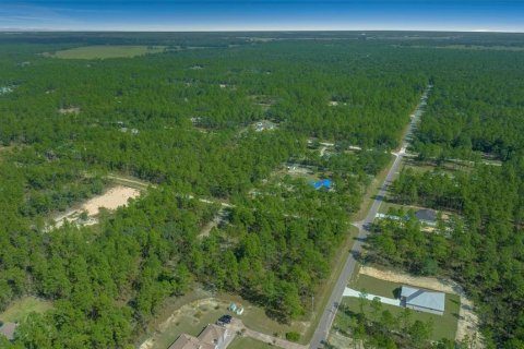 Terreno en venta en Dunnellon, Florida № 1402147 - foto 18