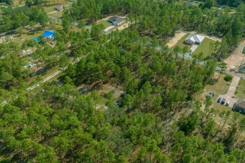 Terreno en venta en Dunnellon, Florida № 1402147 - foto 11