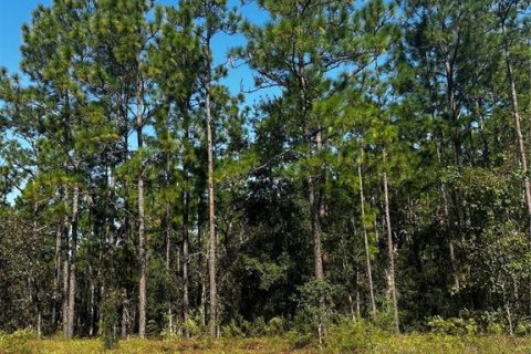 Terreno en venta en Dunnellon, Florida № 1402147 - foto 9