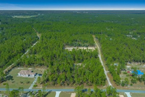 Terreno en venta en Dunnellon, Florida № 1402147 - foto 17