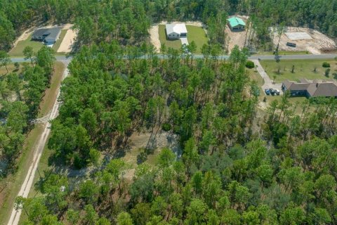 Terreno en venta en Dunnellon, Florida № 1402147 - foto 12