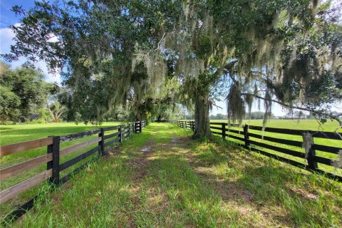 Villa ou maison à vendre à Arcadia, Floride: 3 chambres, 165.27 m2 № 1322734 - photo 17