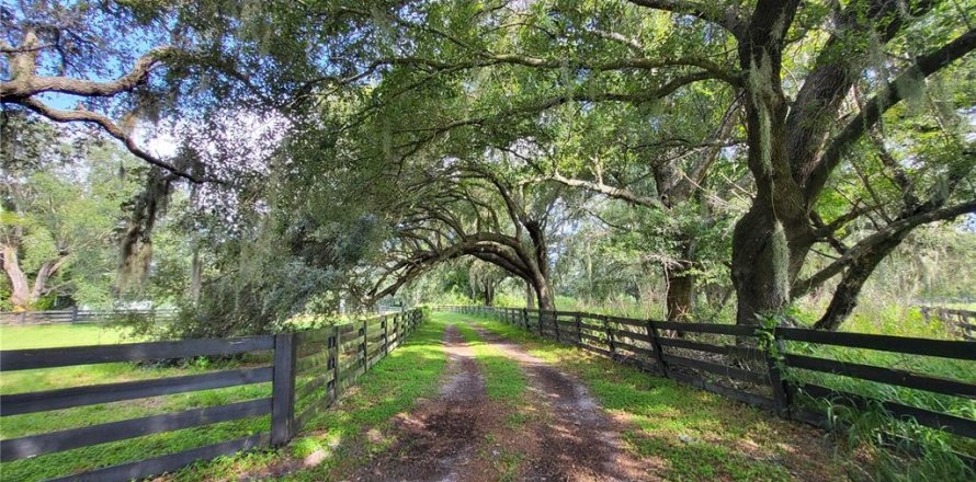 Villa ou maison à Arcadia, Floride 3 chambres, 165.27 m2 № 1322734