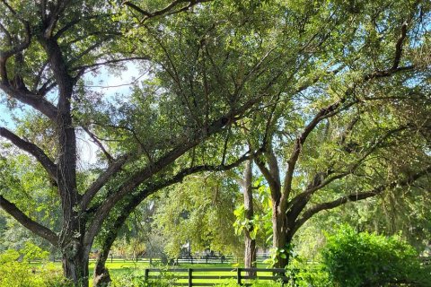 Villa ou maison à vendre à Arcadia, Floride: 3 chambres, 165.27 m2 № 1322734 - photo 20