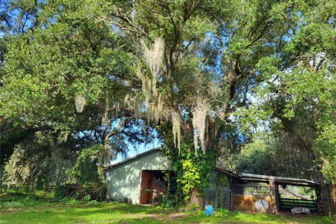 Villa ou maison à vendre à Arcadia, Floride: 3 chambres, 165.27 m2 № 1322734 - photo 27