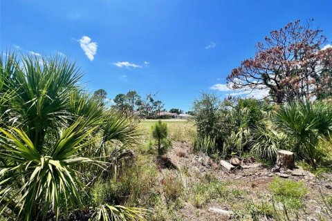 Terreno en venta en Rotonda, Florida № 1306678 - foto 1