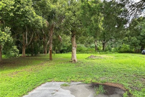 Terreno en venta en Belleview, Florida № 1300377 - foto 1