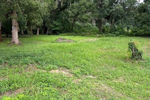 Terreno en venta en Belleview, Florida № 1300377 - foto 2