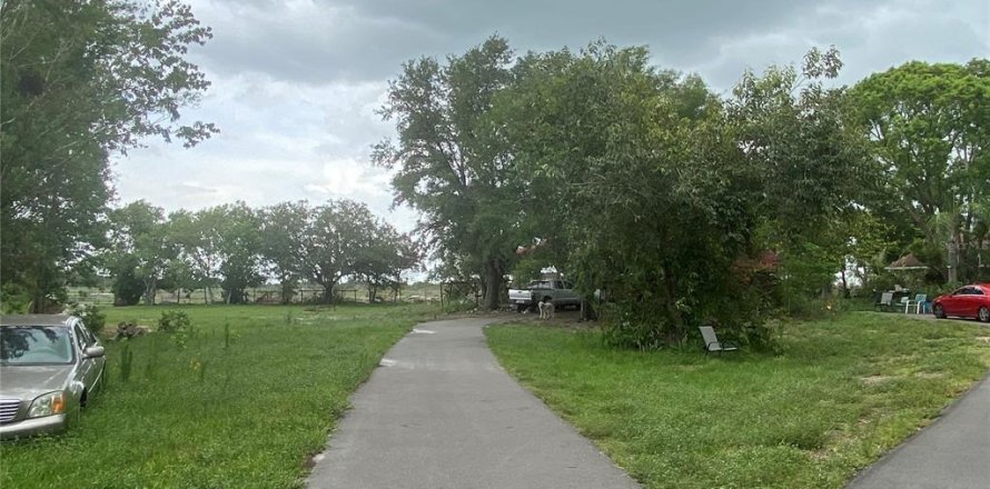 Terrain à Myakka City, Floride № 1303745