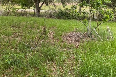 Land in Myakka City, Florida № 1303745 - photo 26