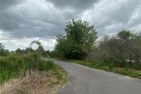 Terreno en venta en Myakka City, Florida № 1303745 - foto 2