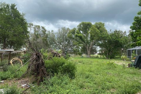 Land in Myakka City, Florida № 1303745 - photo 29