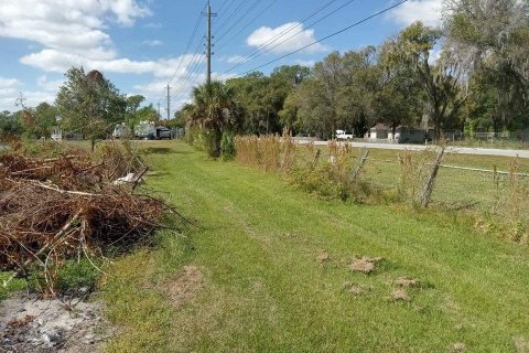 Terrain à vendre à Lakeland, Floride № 1372130 - photo 4