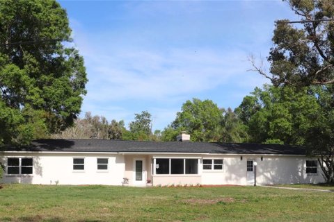 Villa ou maison à vendre à Lutz, Floride: 4 chambres, 302.58 m2 № 1062938 - photo 4