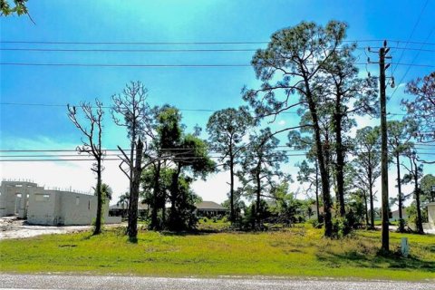 Terreno en venta en Rotonda, Florida № 1067387 - foto 1