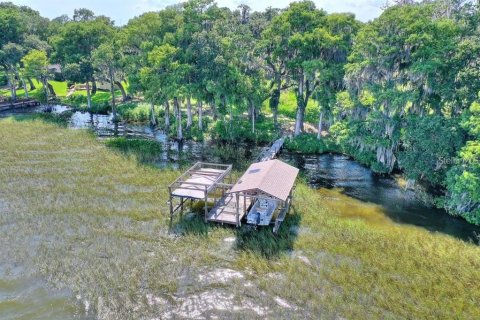 Immobilier commercial à vendre à Leesburg, Floride: 297.29 m2 № 1342516 - photo 30