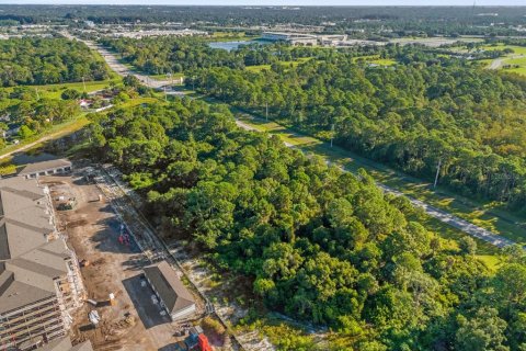 Land in Palm Bay, Florida № 1405622 - photo 23