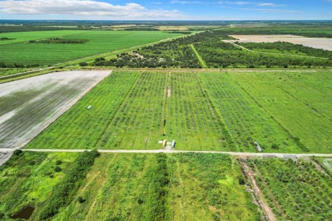 Land in LaBelle, Florida № 1349087 - photo 17