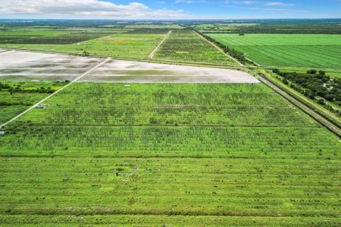 Land in LaBelle, Florida № 1349087 - photo 14