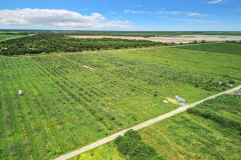 Land in LaBelle, Florida № 1349087 - photo 13