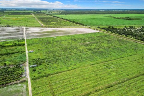 Land in LaBelle, Florida № 1349087 - photo 15