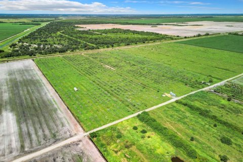 Land in LaBelle, Florida № 1349087 - photo 4