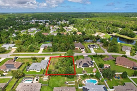 Terreno en venta en Palm Coast, Florida № 1381047 - foto 16