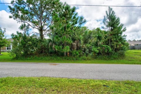 Land in Palm Coast, Florida № 1381047 - photo 2