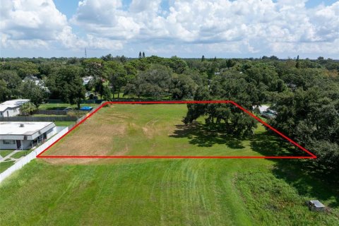 Terreno en venta en Saint Petersburg, Florida № 1378114 - foto 3