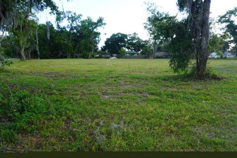 Terrain à vendre à Ocala, Floride № 1283160 - photo 3