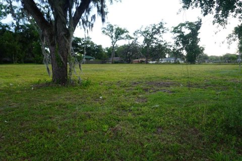 Terrain à vendre à Ocala, Floride № 1283160 - photo 2